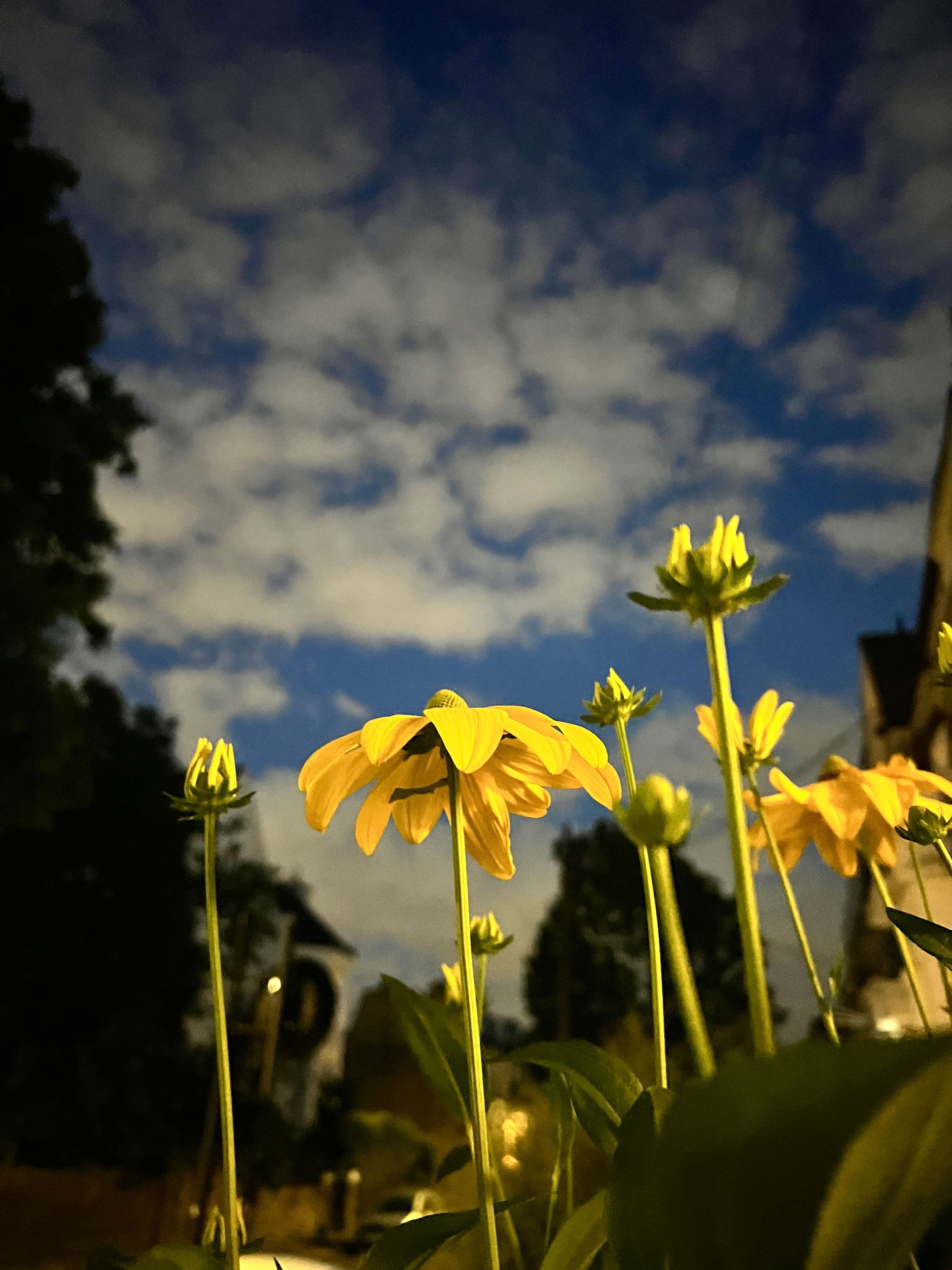 Cover Image for Gardening Jobs for October