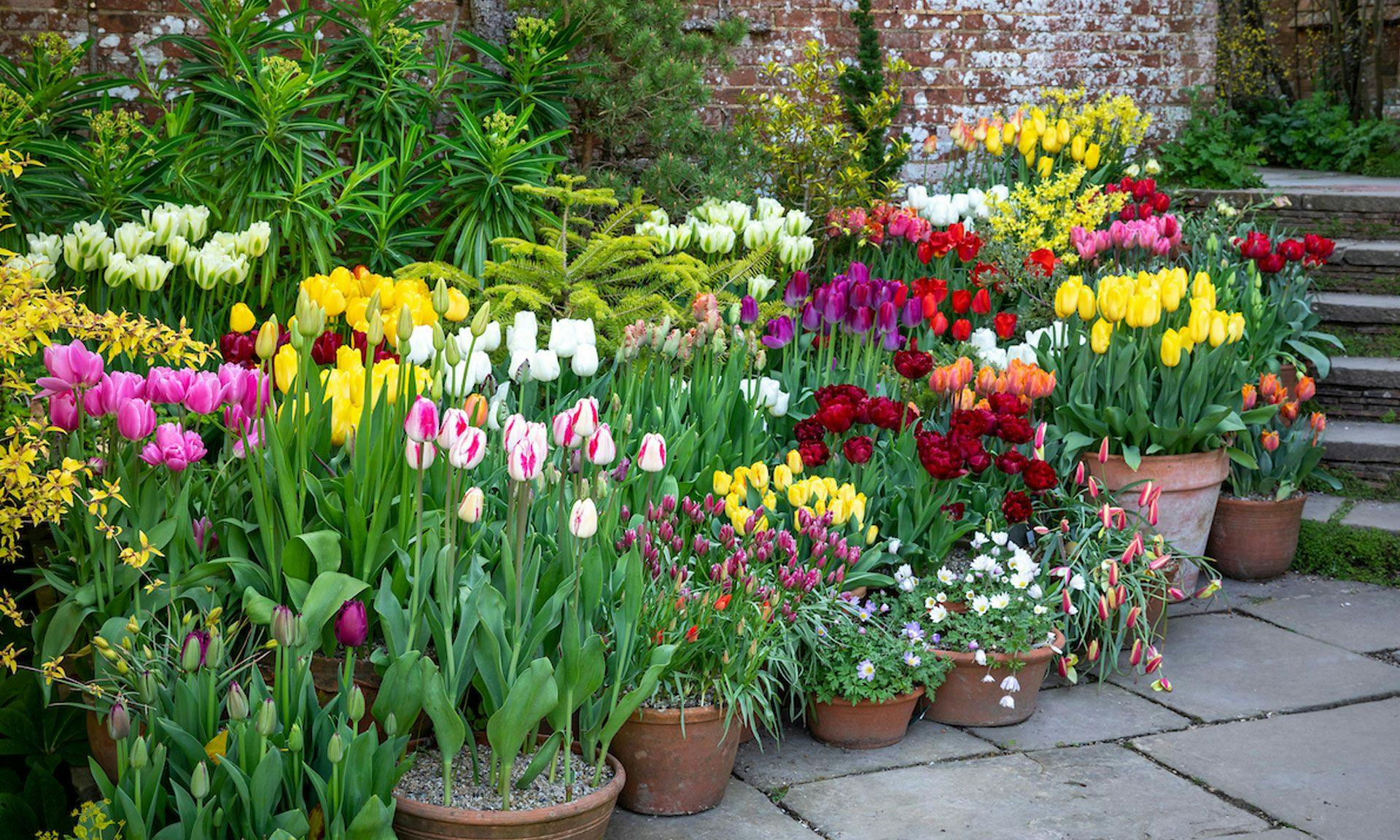 Cover Image for Gardening Jobs for April