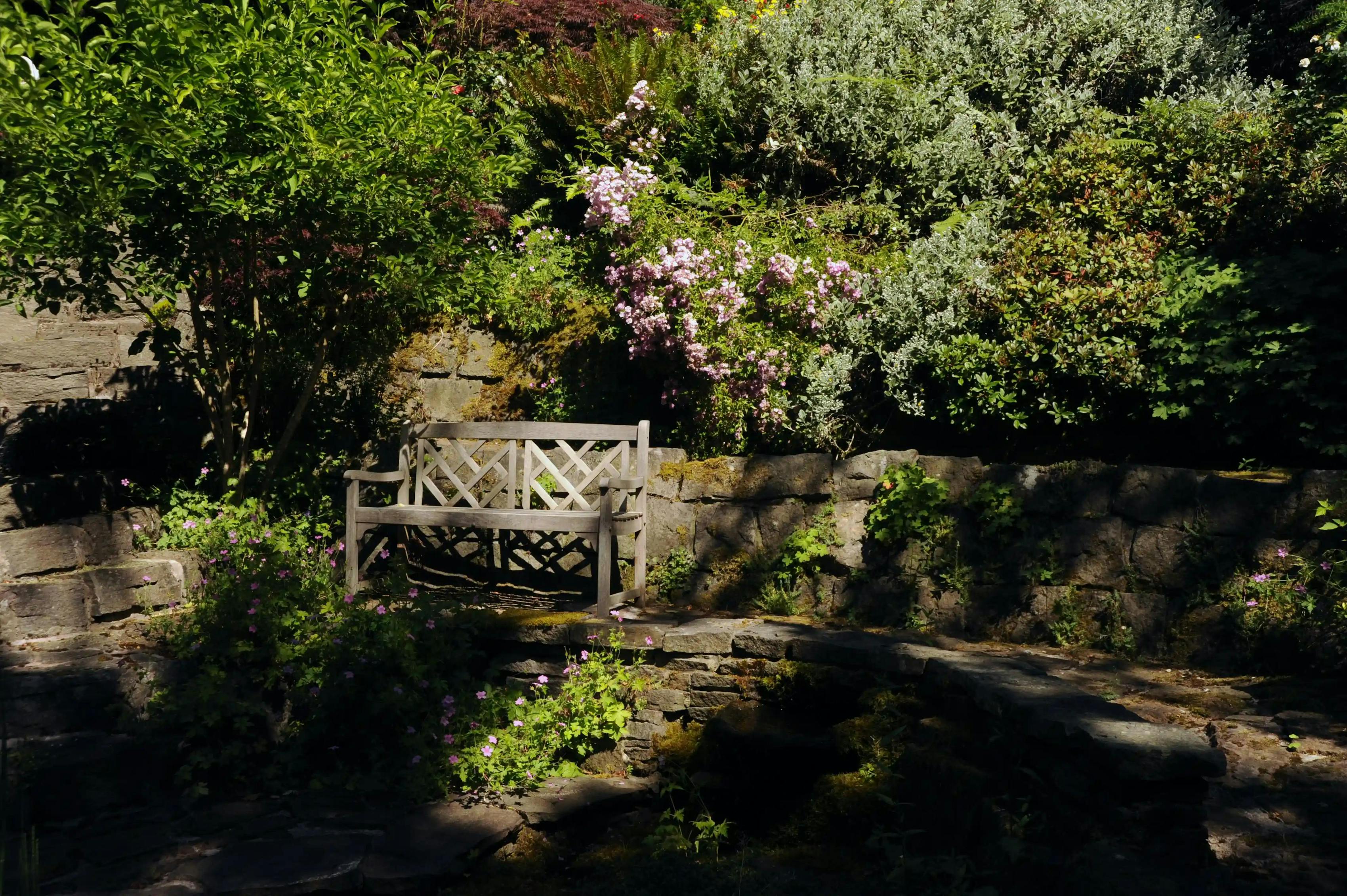 Cover Image for 8 Ideas for a Calming Garden