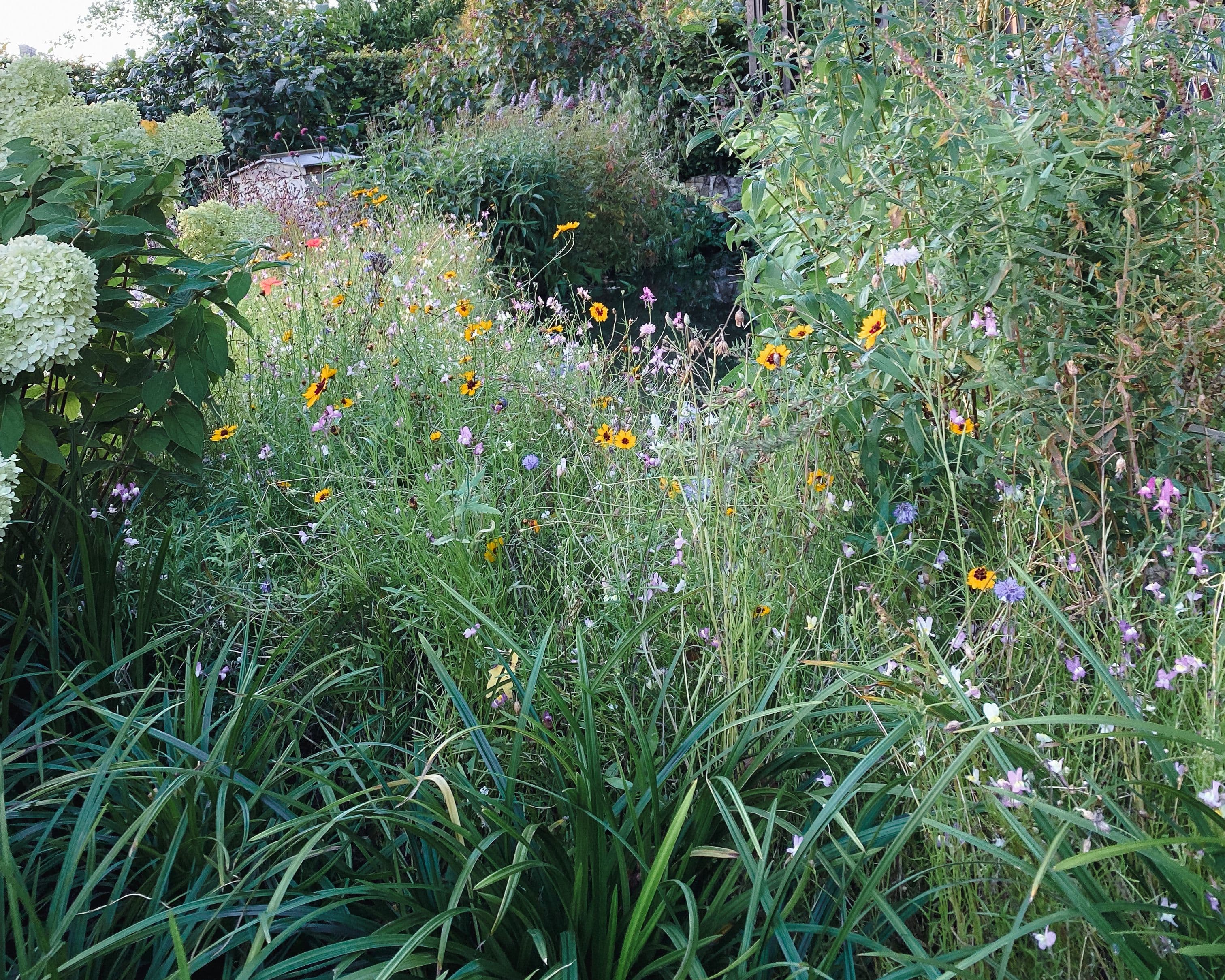 Cover Image for Gardening Jobs for September