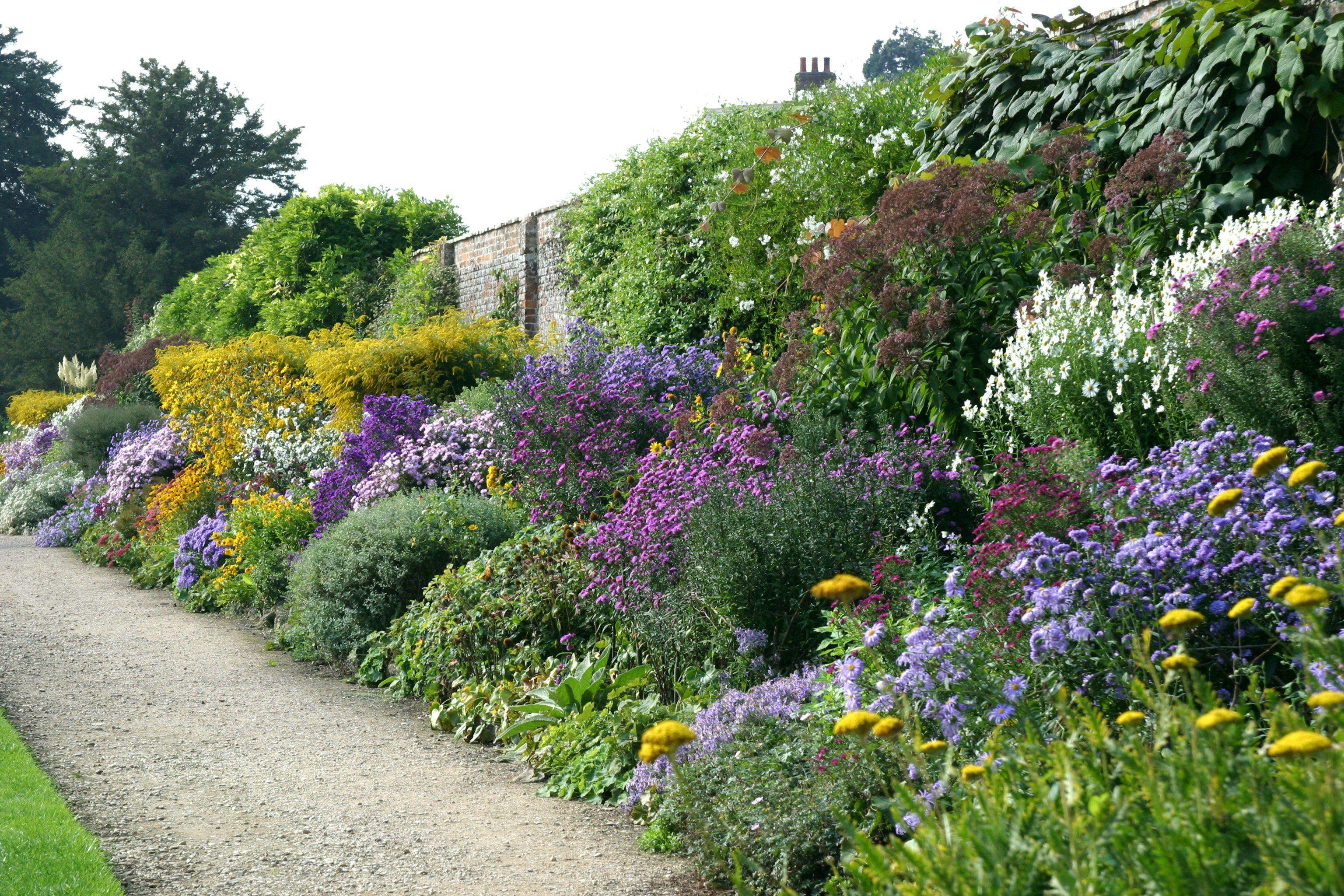 Cover Image for Best Plants to Fill in Gaps in Borders