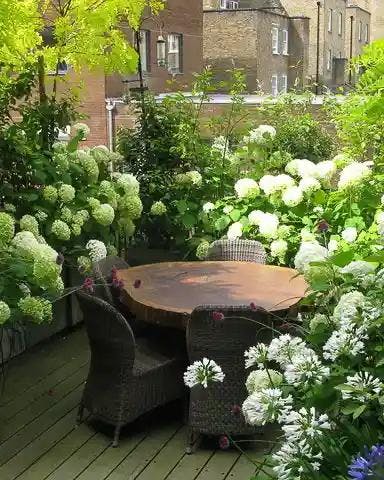 Cover Image for Plant & Design Ideas for Your Balcony